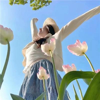 美国最后之日 在线观看