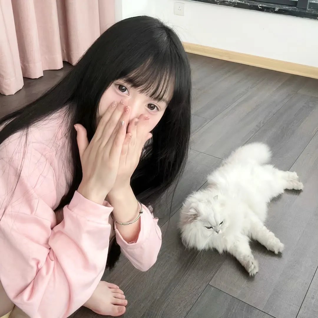大林宣彦:电影藏宝盒 在线观看